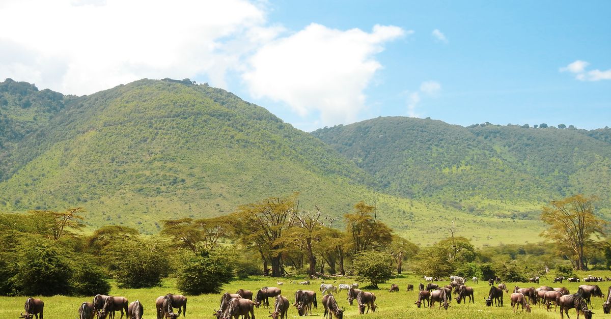 Arusha, Tanzania