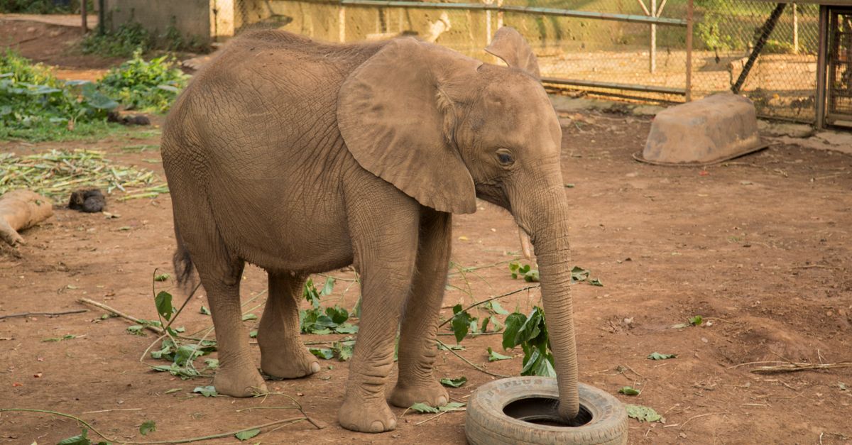 Entebbe, Uganda