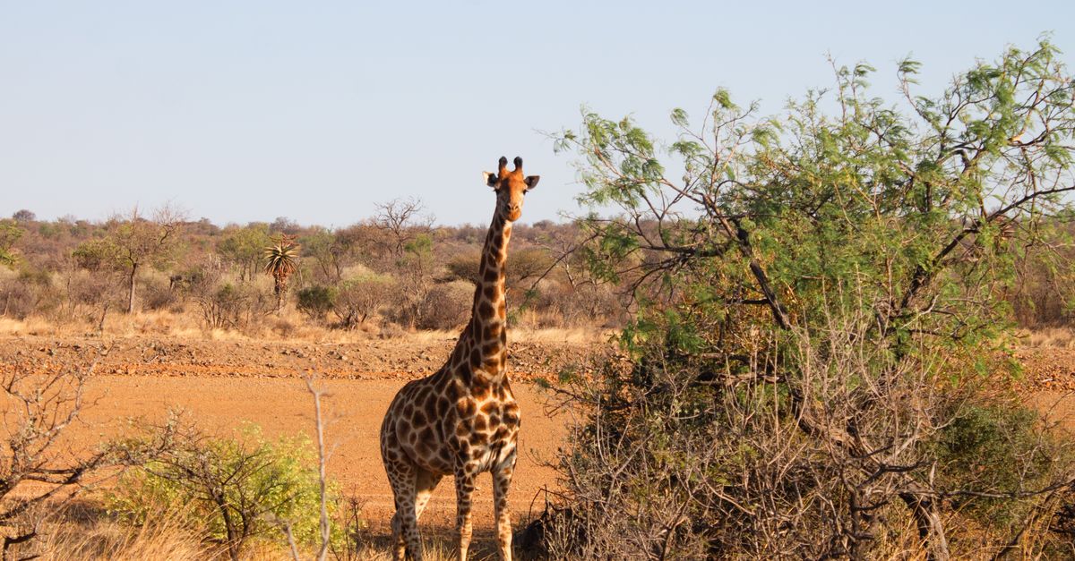 Gaborone, Botswana