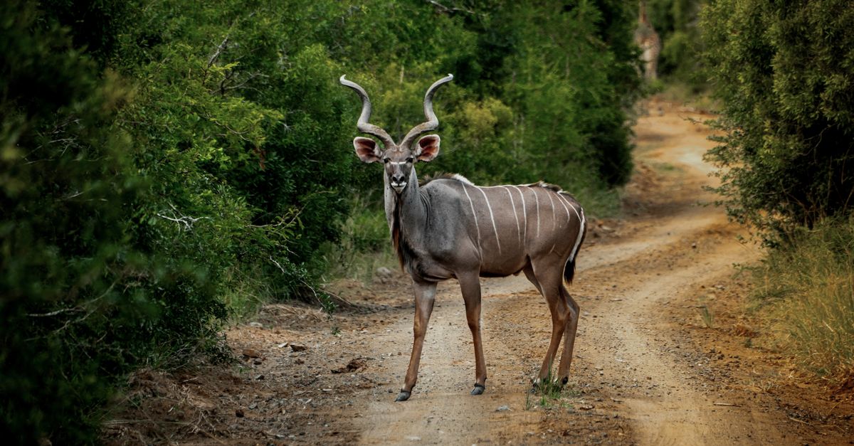 Hazyview, South Africa