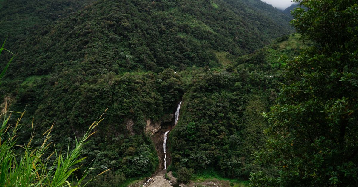 Mindo, Ecuador