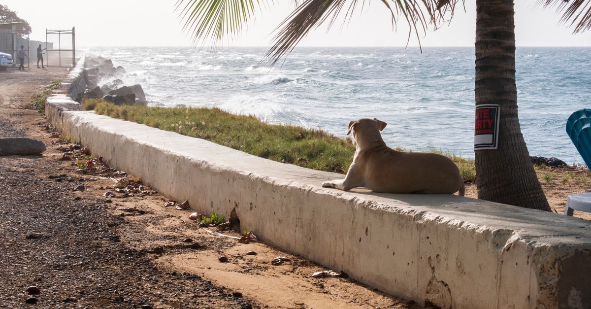 Montego Bay, Jamaica