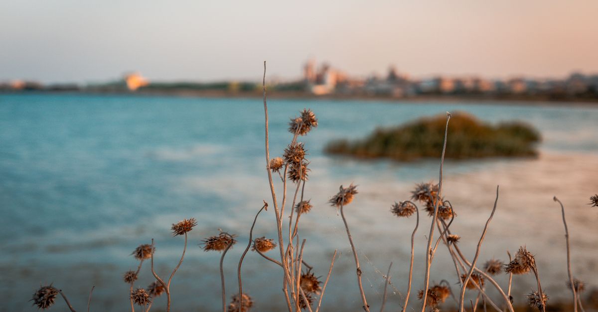 Providenciales, Turks and Caicos