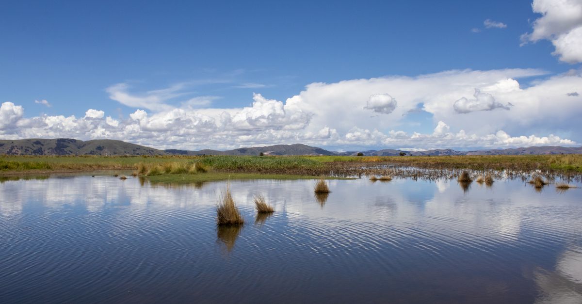 Puno, Peru