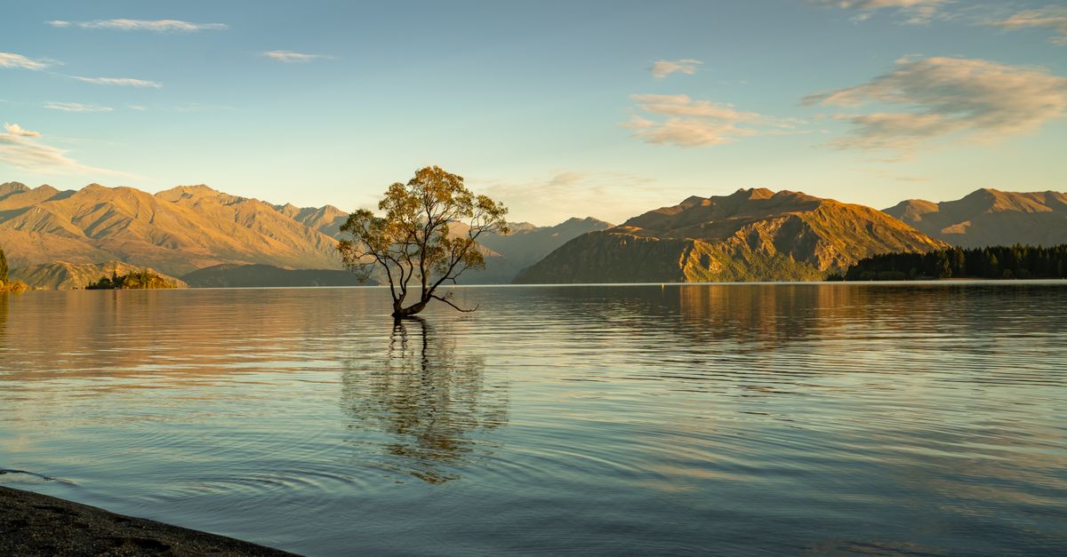 Wanaka, New Zealand
