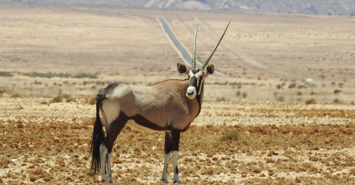Windhoek, Namibia